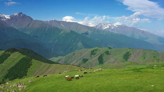 4K山水湖泊高山树林丛林自然景观