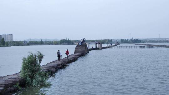 绍兴江南水乡避塘风景