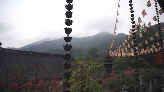 杭州上天竺法喜讲寺风景