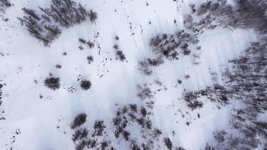 航拍新疆冬季喀纳斯湖雪景雪山森林