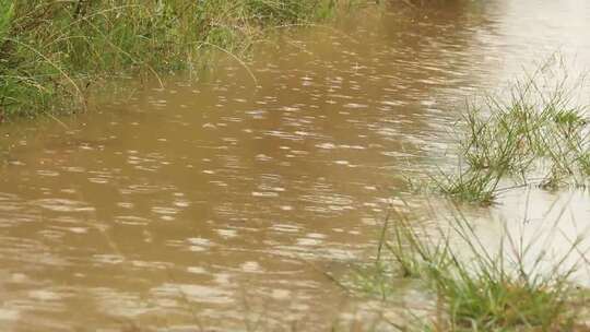 雨水落在水体上