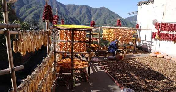 江西婺源篁岭美丽乡村晒秋丰收的喜悦