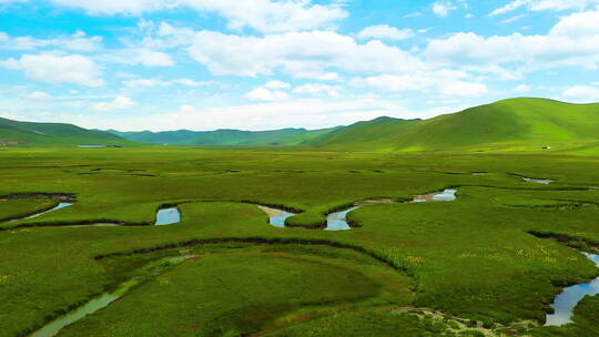 甘南玛曲草原夏季大景4K航拍视频素材模板下载