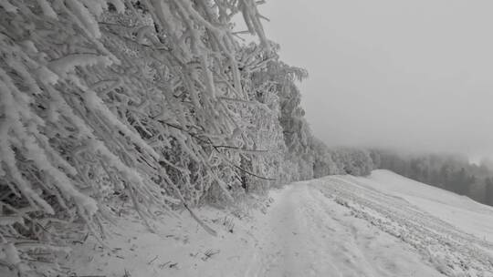 大自然冬天冰雪覆盖的森林高山雪山美景特写