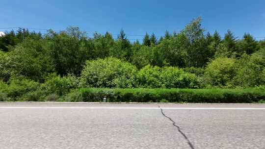 开车行驶在草原道路中  第一视角草原风景