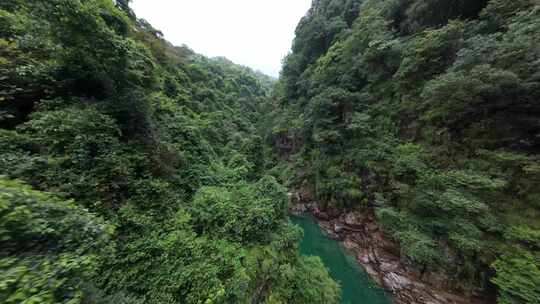 fpv穿越机葱郁森林与清澈溪流河流彩虹云雾