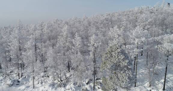 零下40度的低温航拍大兴安岭冰雪雾凇