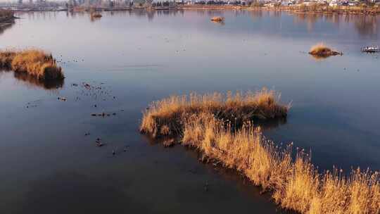 大理鹤庆新华村草海湿地