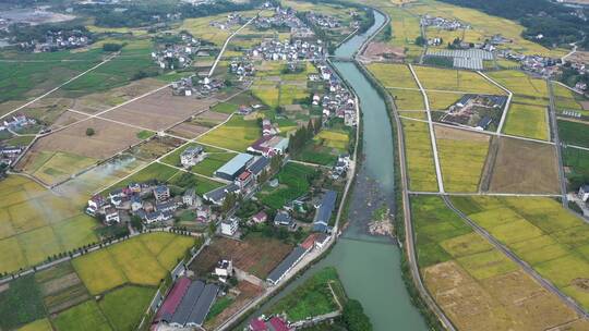 航拍 大同建德稻香小镇金色稻田田园风光