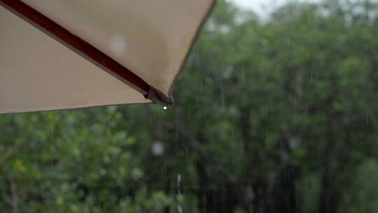 雨滴从遮阳伞上滴落