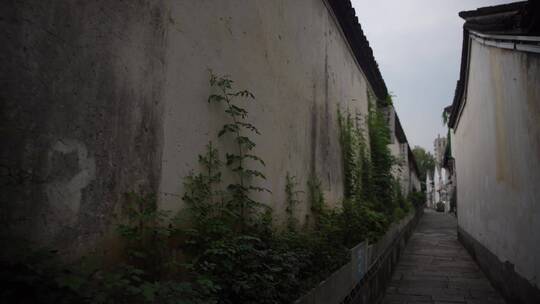 杭州桥西历史文化街区视频素材
