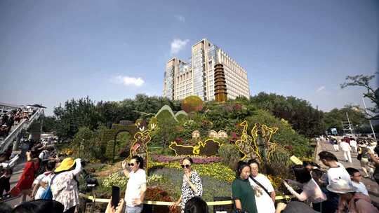 市民观赏城市景观花坛