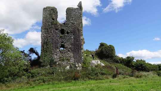 旧爱尔兰城堡毁了沃特福德