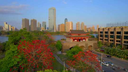 惠州朝京门木棉航拍大景 1