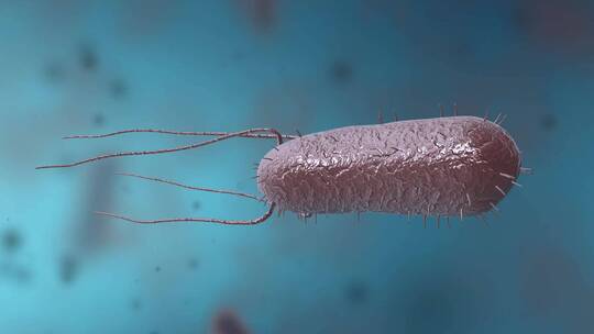 细菌真菌细胞微生物显微镜下病菌形态