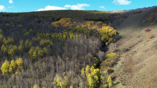 4K秋日氛围内蒙阿尔山秋景航拍视频