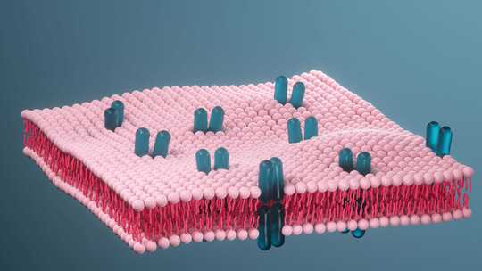 细胞膜与生物学，生命与健康，3d渲染。