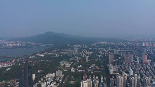 紫金山风景