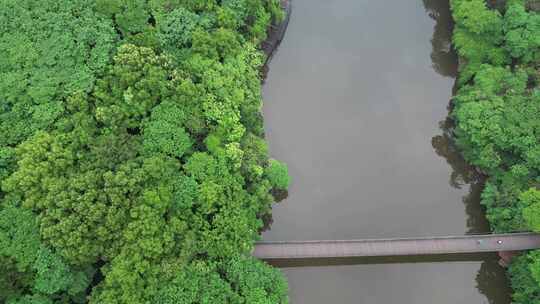 航拍衡阳平湖公园美景