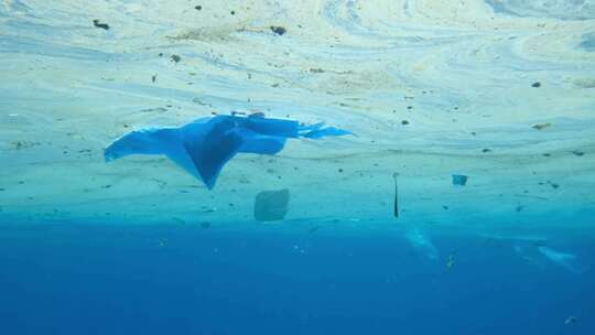 水污染海洋污染生态破坏塑料污染