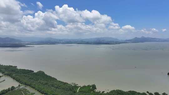 4K深圳福田区红树林