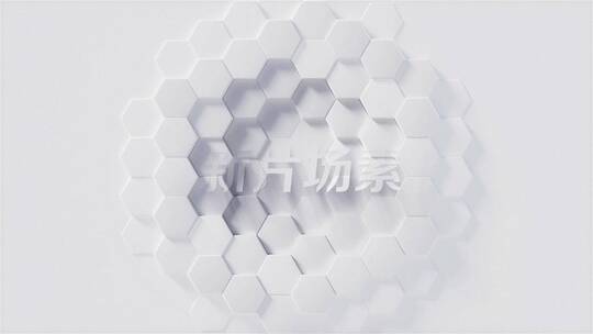 白色专业简约立体logo展示模板