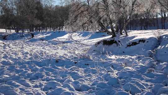 雪景冰河