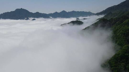 秦岭嘉午台云海延时群山美景