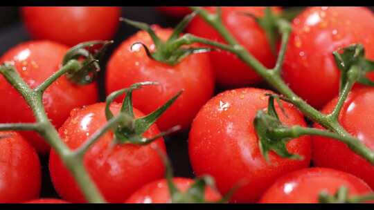 合集-精品番茄圣女果视频素材模板下载