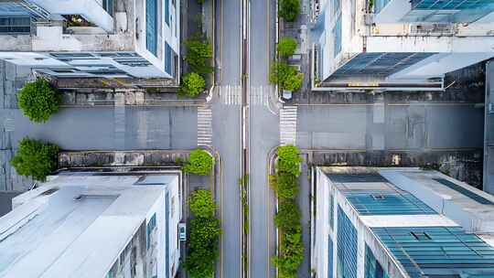 无人机视城市俯瞰视角斑马路线人行道交叉口