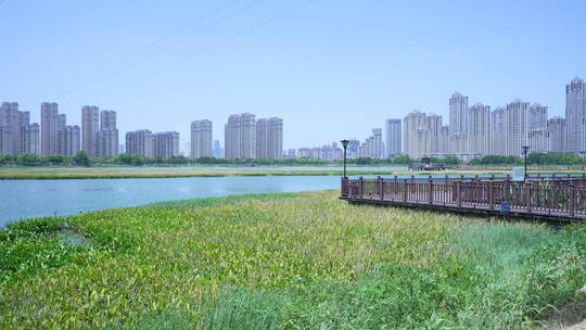 武汉杨春湖城市生态公园风景