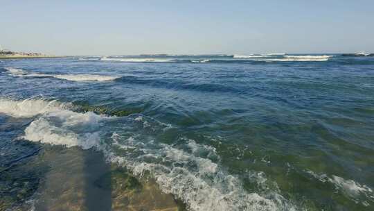 有海浪和绿藻的海滩