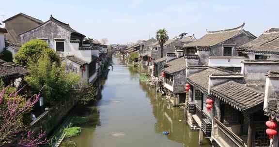 春天的江南水乡 太仓沙溪古镇古桥河道