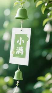 小满 小满节气 麦田 小麦 农作物 下雨