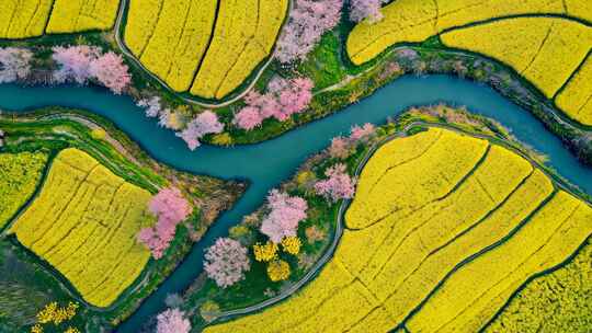 航拍油菜花田与河流景观