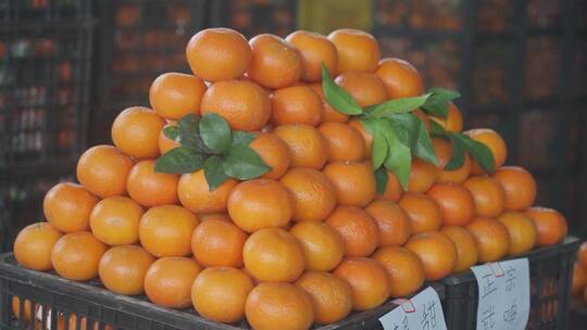 沃柑 柑橘 水果 橘子 橙子
