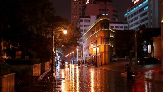 花鸟市场夜景素材FBFB