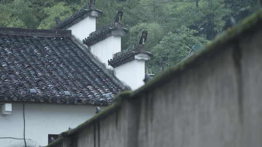 瑶里古镇雨后唯美景色