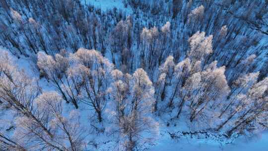 航拍雪原阳光树林雾凇