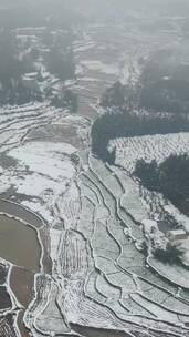 农业种植农田冬天雪景竖屏航拍