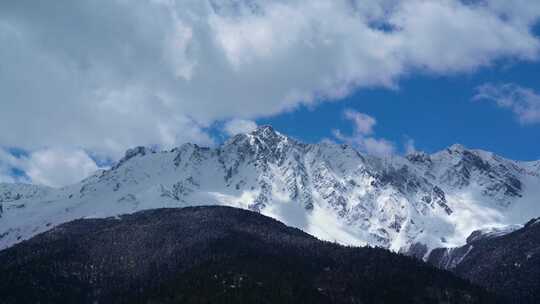 云南白马雪山实拍视频4K