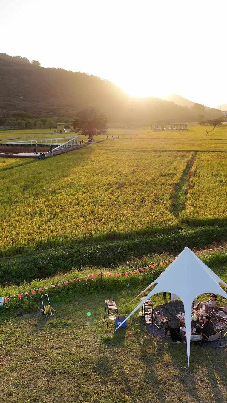 稻田边的户外露营场景
