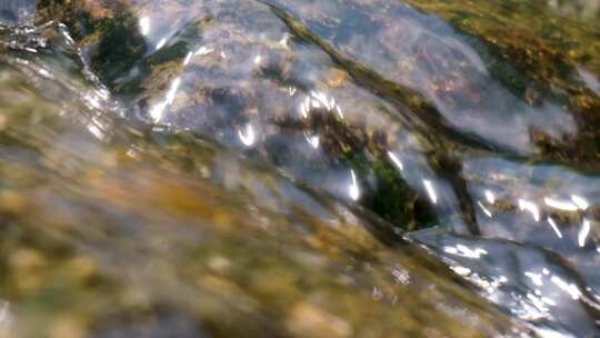 河边流水河流河水小溪山泉泉水水流升格大自