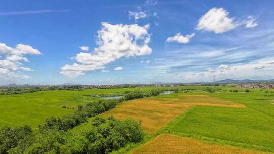 高铁窗外风景