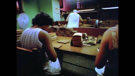 20世纪80年代一家古巴雪茄工厂里工人在认真工作视频素材模板下载