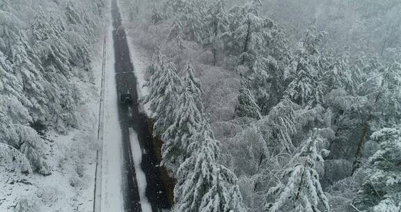 航拍森林冰雪