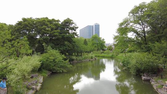 上海植物园品质绿色植被人流实拍