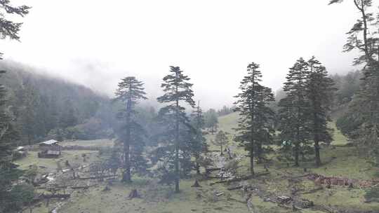 川西沙埋湖水高海拔自然风光视频素材