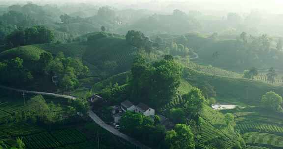 茶园茶山美丽乡村