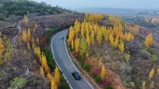 金色秋天旅游公路上行驶在风景中的汽车